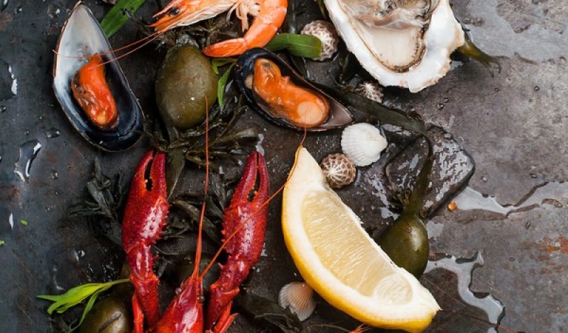 Foods That Are High in Vitamin B12 – Infographic